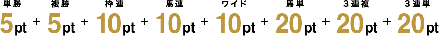 単勝 5pt + 複勝 5pt + 枠連 10pt + 馬連 10pt + ワイド 10pt + 馬単 20pt + 3連複 20pt + 3連単 20pt