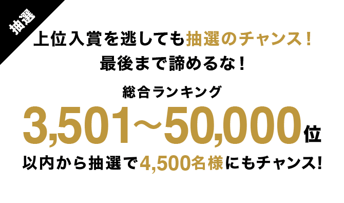 上位入賞を逃しても抽選のチャンス！最後まで諦めるな！総合ランキング3,501〜50,000位以内から抽選で4,500名様にもチャンス！