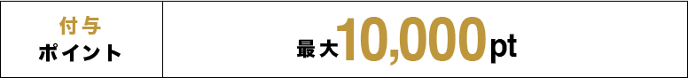 付与ポイント 最大10,000pt