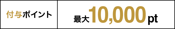 付与ポイント 最大10,000pt